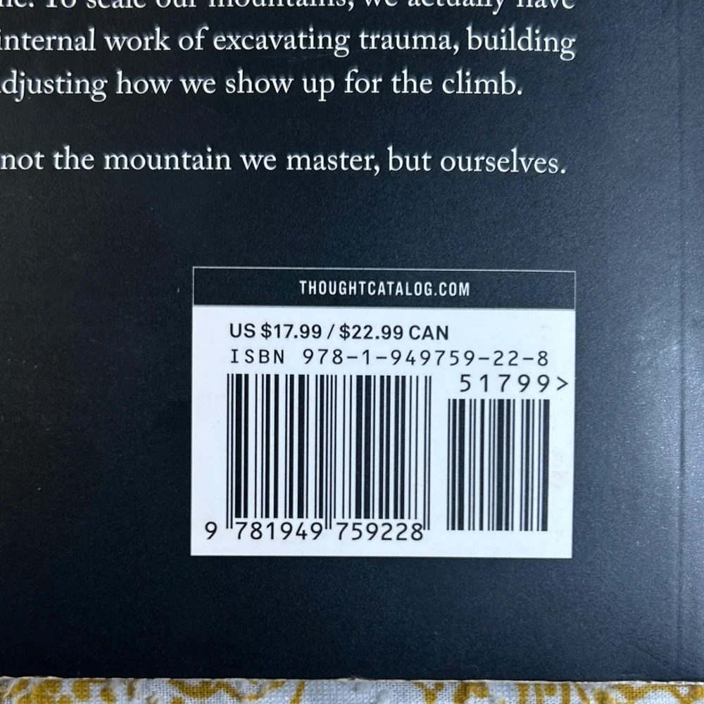 The Mountain Is You Book - Picture 2 of 3